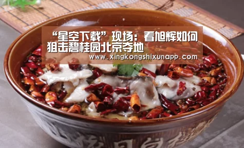 “星空下载”现场:看旭辉如何狙击碧桂园北京夺地(图2) 星空体育