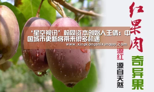 ‘星空视讯’翰同资本创始人王倩:中国城市更新将带来很多机遇(图1) 星空下载