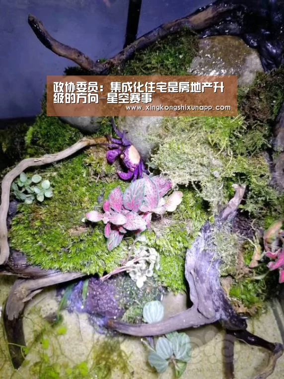 政协委员:集成化住宅是房地产升级的方向-星空赛事(图1) 星空视讯