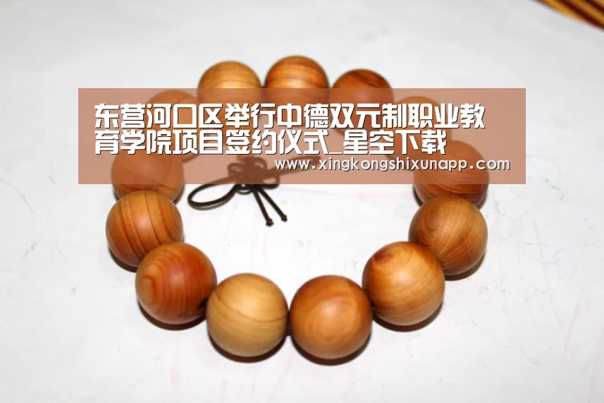 星空视讯
