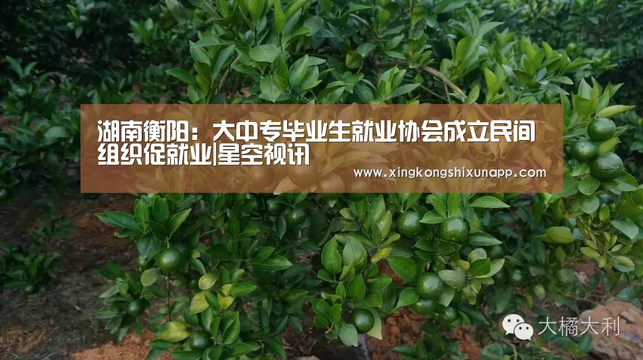 星空下载