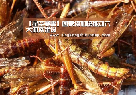 星空视讯
