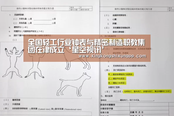 全国轻工行业钟表与精密制造职教集团在津成立‘星空视讯’(图2) 星空下载