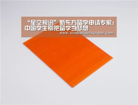 “星空视讯”新东方留学申请专家:中国学生别把留学当梦想(图2) 星空体育