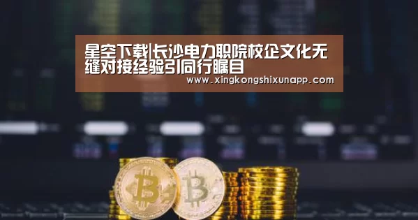 星空下载|长沙电力职院校企文化无缝对接经验引同行瞩目(图2) 星空赛事
